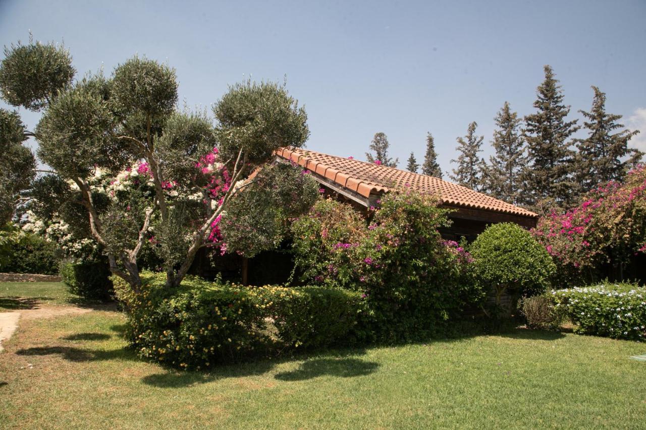Dar Zitouna Sousse-Tunisie Zewnętrze zdjęcie